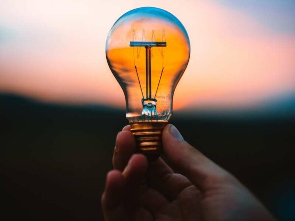 lightbulb lightbulb